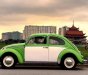 Volkswagen Beetle   1990 - Bán xe Volkswagen Beetle đời 1990, màu xanh, xe nhập