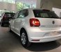 Volkswagen Polo 2017 - Bán ô tô Volkswagen Polo sản xuất 2017, màu trắng, nhập khẩu nguyên chiếc giá cạnh tranh