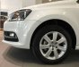 Volkswagen Polo 2017 - Bán ô tô Volkswagen Polo sản xuất 2017, màu trắng, nhập khẩu nguyên chiếc giá cạnh tranh