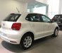 Volkswagen Polo 2017 - Bán ô tô Volkswagen Polo sản xuất 2017, màu trắng, nhập khẩu nguyên chiếc giá cạnh tranh