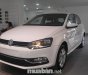 Volkswagen Polo 2017 - Bán ô tô Volkswagen Polo sản xuất 2017, màu trắng, nhập khẩu nguyên chiếc giá cạnh tranh