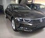 Volkswagen Passat Blue Motion 2017 - Bán Volkswagen Passat Blue Motion 2017, nhập khẩu Mỹ, màu xám