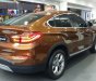 BMW X4 xDrive20i 2018 - Cần bán xe BMW X4 xDrive20i đời 2018, màu nâu, nhập khẩu