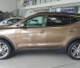 Hyundai Santa Fe   2017 - Cần bán xe Hyundai Santa Fe đời 2017, màu nâu