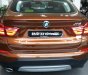 BMW X4 xDrive20i 2018 - Cần bán xe BMW X4 xDrive20i đời 2018, màu nâu, nhập khẩu