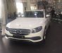 Mercedes-Benz E class E250 2018 - Bán ô tô Mercedes E250 sản xuất 2018, màu trắng