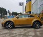 Volkswagen New Beetle AT 2017 - Bán Volkswagen New Beetle năm 2017, màu xám (ghi), xe nhập