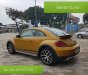 Volkswagen New Beetle AT 2017 - Bán Volkswagen New Beetle năm 2017, màu xám (ghi), xe nhập