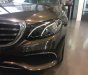 Mercedes-Benz E class E200 2018 - Bán xe Mercedes E200 đời 2018, màu nâu