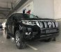 Toyota Land Cruiser Prado 2018 - Bán ô tô Toyota Prado Prado 2018 sản xuất 2018, màu đen, nhập khẩu