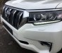 Toyota Land Cruiser Prado VX 2018 - Cần bán xe Toyota Land Cruiser Prado VX năm 2018, màu trắng, nhập khẩu