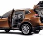 Nissan X trail 2017 - Cần bán Nissan X trail đời 2017, màu nâu vàng