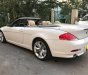 BMW 6 Series 2007 - Bán BMW 6 Series đời 2007 số tự động, giá 970tr