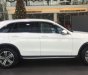 Mercedes-Benz GLC-Class   2.0 AT  2018 - Bán ô tô Mercedes 2.0 AT đời 2018, màu trắng, nhập khẩu nguyên chiếc