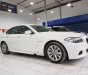 BMW 5 Series 520i 2013 - Bán ô tô BMW 5 Series 520i đời 2013, màu trắng, nhập khẩu nguyên chiếc