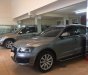 Audi Q5  2.0T  2010 - Bán Audi Q5 2.0T năm 2010, màu xám, nhập khẩu 