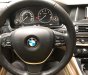 BMW 5 Series 520i 2015 - Cần bán xe BMW 5 Series 520i sản xuất 2015, màu đen, nhập khẩu