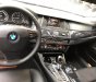 BMW 5 Series 520i 2015 - Bán BMW 5 Series 520i 2015, màu đen, nhập khẩu nguyên chiếc