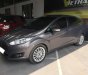 Ford Fiesta Titanium 2015 - Bán xe Ford Fiesta Titanium năm 2015 (đúng chất), màu nâu, giá thương lượng