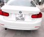 BMW 3 Series 320i 2014 - Bán BMW 3 Series 320i đời 2014, màu trắng, nhập khẩu 