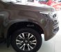 Chevrolet Colorado 2.8 AT 4x4 2017 - Bán xe Chevrolet Colorado 2.8 AT 4X4 sản xuất 2017, hỗ trợ vay ngân hàng 80%, gọi Ms. Lam 0939193718