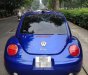 Volkswagen New Beetle 2007 - Bán xe Volkswagen New Beetle đời 2007, màu xanh lam, nhập khẩu 