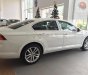 Volkswagen Passat 2017 - Cần bán Volkswagen Passat đời 2017, màu trắng, nhập khẩu nguyên chiếc