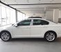 Volkswagen Passat 2017 - Cần bán Volkswagen Passat đời 2017, màu trắng, nhập khẩu nguyên chiếc