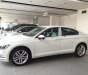 Volkswagen Passat 2017 - Cần bán Volkswagen Passat đời 2017, màu trắng, nhập khẩu nguyên chiếc