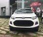 Ford EcoSport 2017 - Bán xe Ford EcoSport đời 2017, màu trắng, nhập khẩu, 650tr