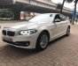 BMW 5 Series 520i  2014 - Cần bán lại xe BMW 5 Series 520i đời 2014, màu trắng, nhập khẩu nguyên chiếc chính chủ