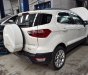 Ford EcoSport 2018 - Cần bán xe Ford EcoSport 2018, màu trắng, nhập khẩu chính hãng, 664tr