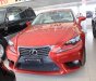 Lexus LS 250 2013 - Bán ô tô Lexus LS 250 đời 2013, màu đỏ, nhập khẩu nguyên chiếc số tự động