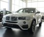 BMW X4 xDrive 20i 2017 - Bán BMW X4 xDrive 20i đời 2017, màu trắng, nhập khẩu