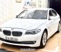 BMW 528i 2013 - Bán BMW 528i đời 2013, màu trắng, xe nhập, số tự động