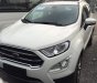 Ford EcoSport Titanium 2018 - Cần bán xe Ford EcoSport Titanium đời 2018, giá chỉ 600 triệu