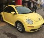 Volkswagen Beetle 2007 - Bán Volkswagen Beetle đời 2007, màu vàng, nhập khẩu