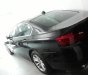 BMW 5 Series 523i 2010 - Cần bán lại xe BMW 5 Series 523i đời 2010, chính chủ