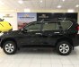 Toyota Prado TXL 2.7L 2013 - Bán Toyota Prado TXL 2.7L đời 2013, màu đen, nhập khẩu chính chủ