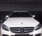 Mercedes-Benz E250 2018 - Bán xe Mercedes GLC250 Mercedes GLC300AMG 2018 chính hãng, Mercedes E250 Mercedes E300AMG, Mercedes