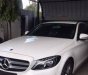 Mercedes-Benz E250 2018 - Bán xe Mercedes GLC250 Mercedes GLC300AMG 2018 chính hãng, Mercedes E250 Mercedes E300AMG, Mercedes