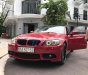 BMW 3 Series 320i 2010 - Bán xe BMW 3 Series 320i đời 2010, màu đỏ