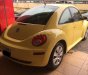 Volkswagen New Beetle 2.5 AT 2007 - Bán Volkswagen New Beetle 2.5 AT sản xuất 2007, màu vàng, xe nhập số sàn