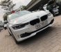 BMW 3 Series 320i 2014 - Cần bán lại xe BMW 3 Series 320i đời 2014, màu trắng, xe nhập