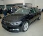 Volkswagen Passat Bluemotion 2017 - (ĐẠT DAVID) bán Volkswagen Passat Bluemotion 2017, màu xám, nhập khẩu chính hãng. LH 0933.365.188