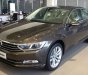 Volkswagen Passat Bluemotion 2017 - (ĐẠT DAVID) Bán Volkswagen Passat Bluemotion 2017, màu nâu, nhập khẩu chính hãng LH 0933.365.188