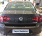Volkswagen Passat Bluemotion 2017 - (ĐẠT DAVID) Bán Volkswagen Passat Bluemotion 2017, màu nâu, nhập khẩu chính hãng LH 0933.365.188
