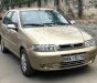Fiat Albea 1.6 2008 - Bán Fiat Albea 1.6 đời 2008, màu vàng, xe nhập