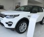 LandRover Discovery  Sport 2.0L 2018 - Discovery Sport 5+2 chỗ để được ưu đãi tốt nhất - Xem & lái thử vui lòng liên hệ 0908170330