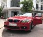 BMW 3 Series 320i 2010 - Bán BMW 3 Series 320i năm 2010, màu đỏ 